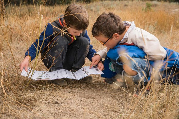 Outdoor Learning - Hands-on with Animal Tracks Guides